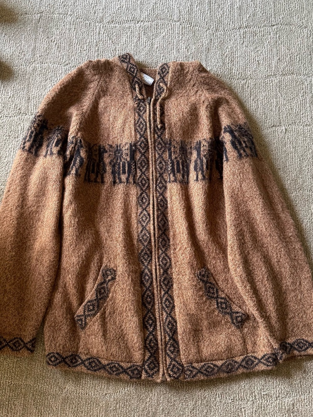 Alpaca Connection Hoodie